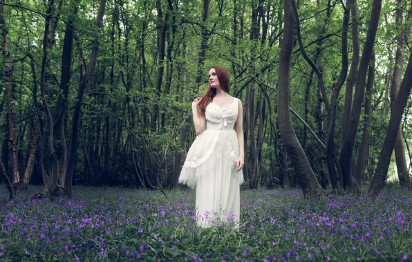 Picture forest, flowers, woman, hair, white dress