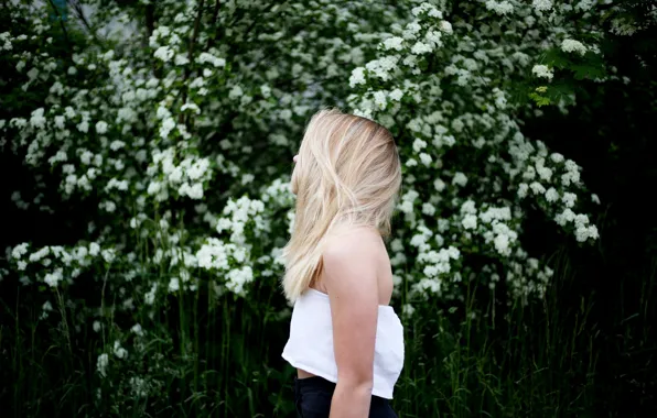 Girl, Bush, blonde, profile, white flowers
