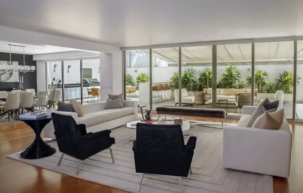 Sofa, Windows, chairs, interior, plants, chair, pillow, chair
