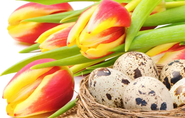 Flowers, holiday, eggs, Easter, socket, tulips, red, yellow