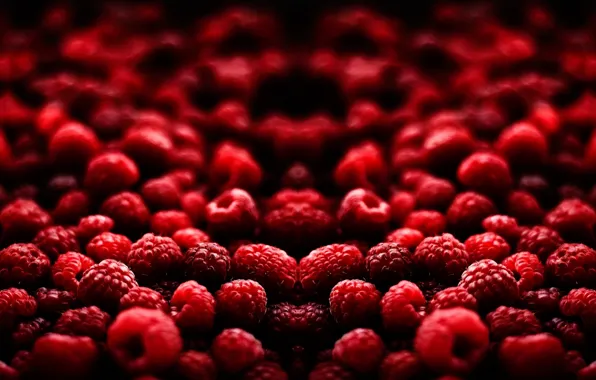 Raspberry, Macro, berry, red, bokeh