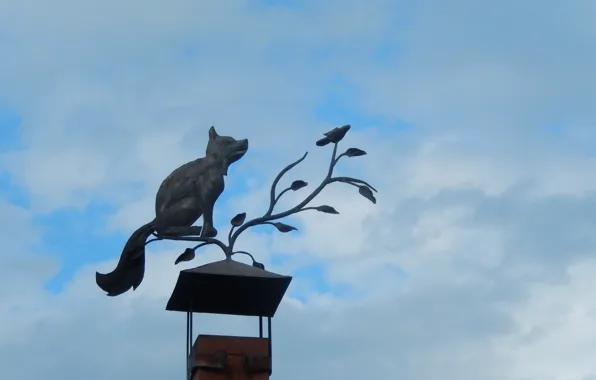The sky, cat, clouds, widescreen, Wallpaper, cloud, wallpaper, widescreen