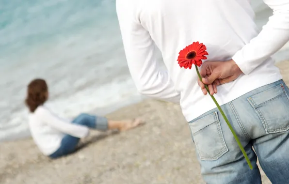 Picture beach, flower, love, romance, pair