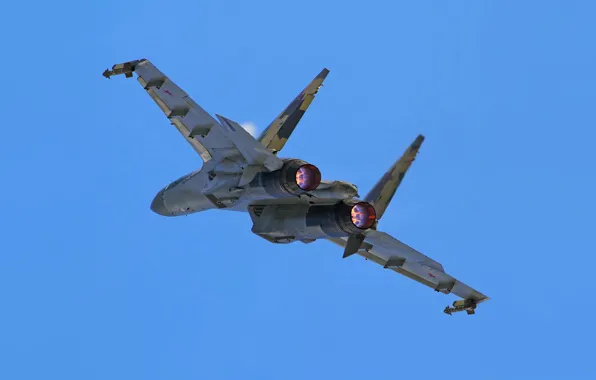 Fighter, Dry, Su-35BM, 901