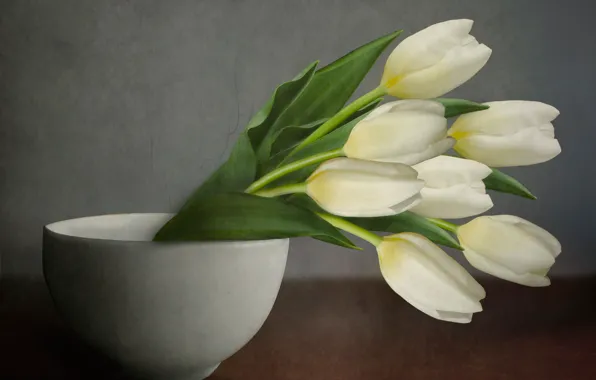Background, texture, bowl, tulips, white, buds