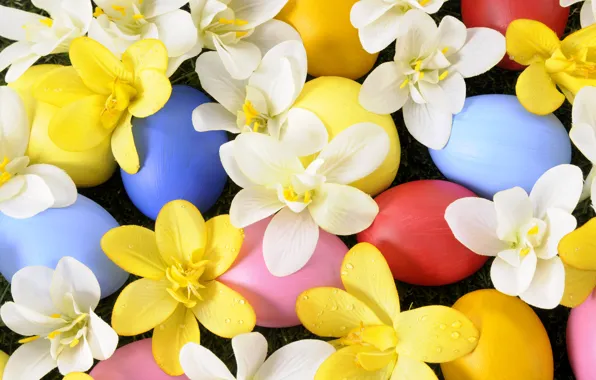 Picture flowers, holiday, eggs, spring, Easter, grass, weed, flowers