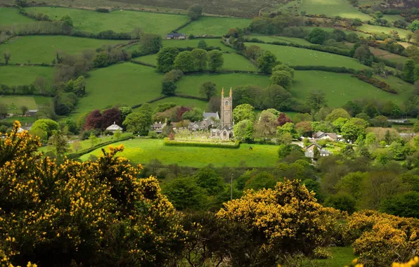 Greens, trees, field, home, village, panorama, temple, Devon