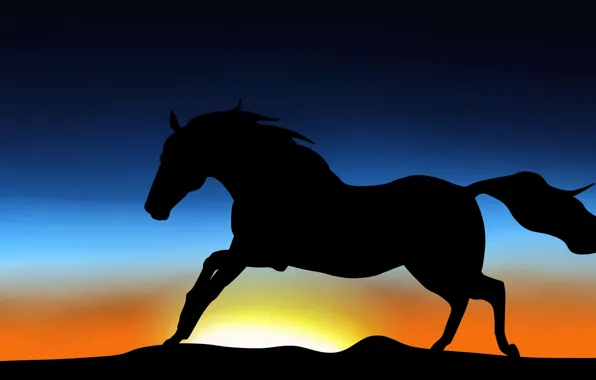 The sky, animal, horse, silhouette, mane, tail, jump
