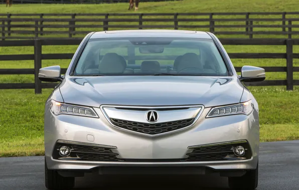 Sedan, acura, tlx