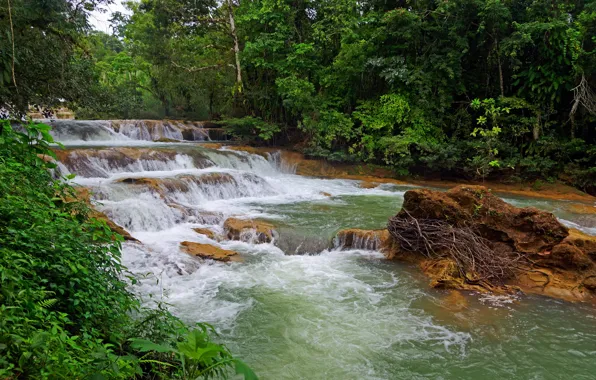 Picture river, Mexico, Chiapas