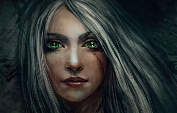 Picture eyes, girl, face, hair, fantasy, art, scar, ash