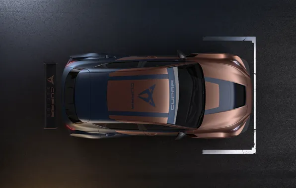 The view from the top, Leon, Competition, Seat, Cupra, 2020
