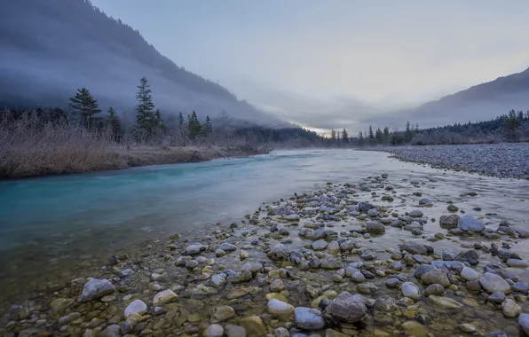 Forest, trees, mountains, fog, river, stones, Germany, valley