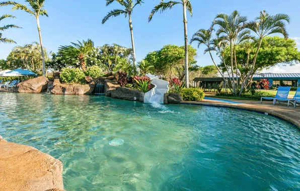 Palm trees, pool, Hawaii, resort, Hawaii, Kauai, Kiahuna Plantation resort, Poipu Beach