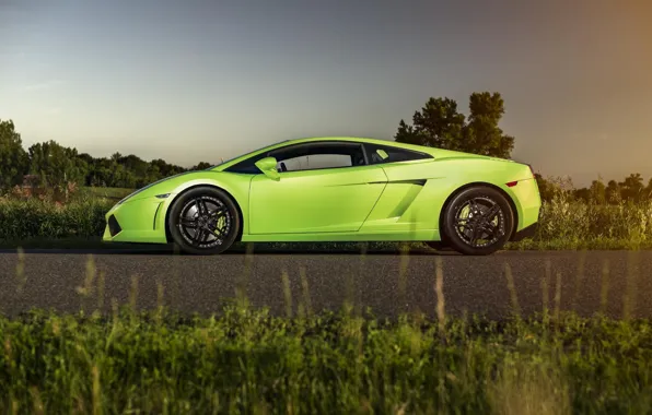 Picture Lamborghini, Gallardo, Green, Sun, Turbo, Supercar, LP560-4, Twin