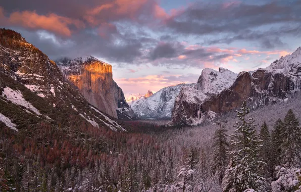 Winter, forest, the sky, clouds, light, snow, mountains, rocks