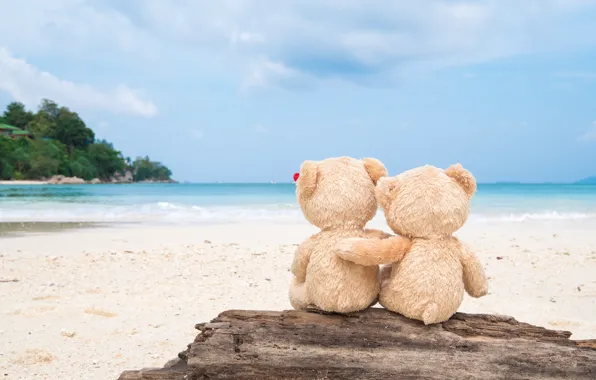 Picture sand, sea, beach, love, toy, bear, bear, pair