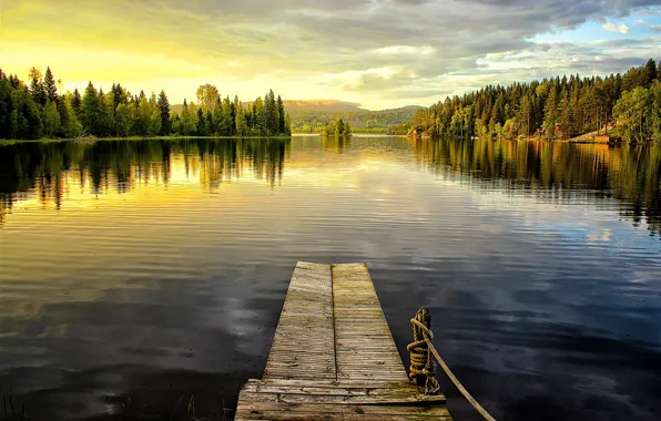 Picture forest, summer, nature, shore, pier, the bridge, bridges, pond