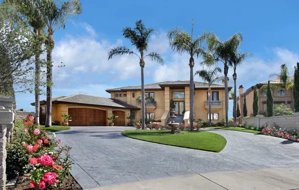 The sky, the sun, flowers, design, palm trees, lawn, street, home