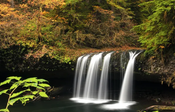 Autumn, forest, waterfall, USA, Oregon, Upper Butte Creek Falls