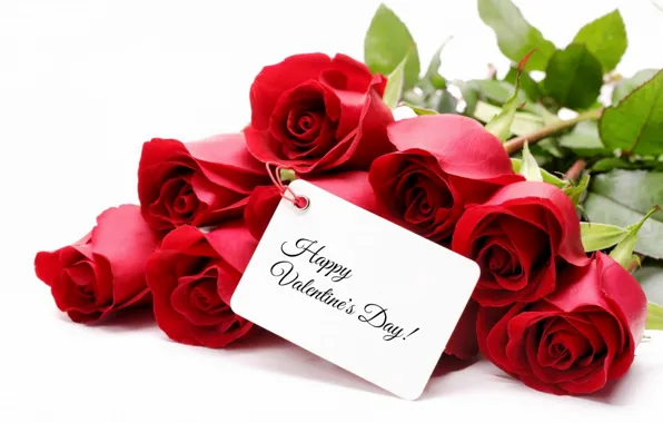 Picture flowers, roses, bouquet, red, red, Valentine`s day, roses