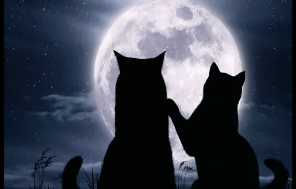 Wallpaper cats, night, picture, The moon, art, ART, Moon, fantasy for ...