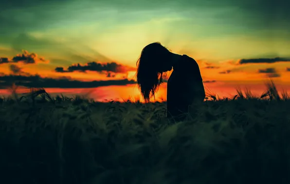 GRASS, The SKY, FIELD, CLOUDS, SUNSET, SILHOUETTE, SPIKELETS, photographer Alexey Khokhlachev