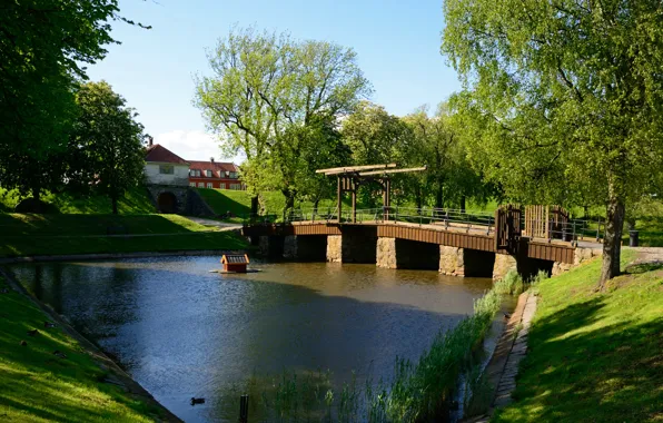 Picture Nature, Pond, Norway, Nature, Bridge, Norway, Summer, The bridge