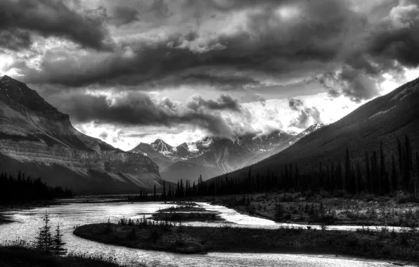 Picture forest, mountains, river, photo, black and white