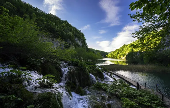 Lake, stream, Croatia, Plitvice Lakes National Park