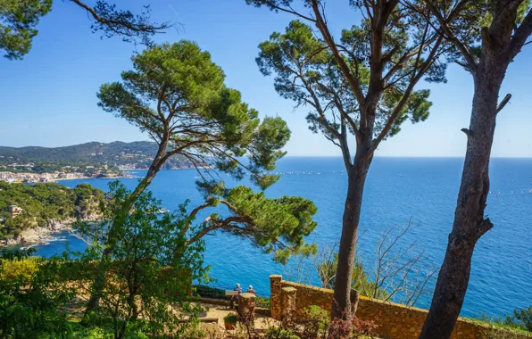 Picture sea, the sun, trees, coast, horizon, Spain, Costa Brava, Costa Brava