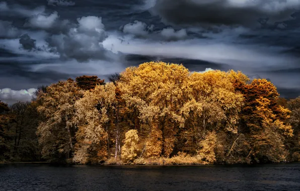 Autumn, forest, the sky, trees, clouds, nature, river, shore