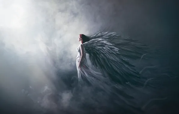 Look, girl, light, pose, fog, smoke, back, wings