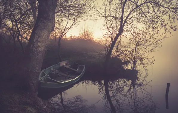 Picture fog, lake, reflection, tree, dawn, branch, boat, mirror