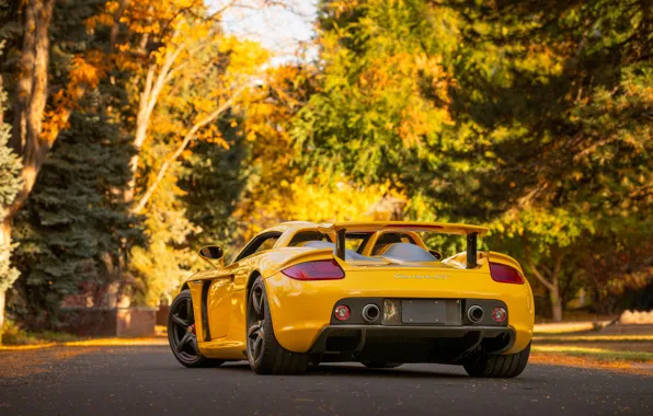 Picture Porsche, Porsche Carrera GT, rear view