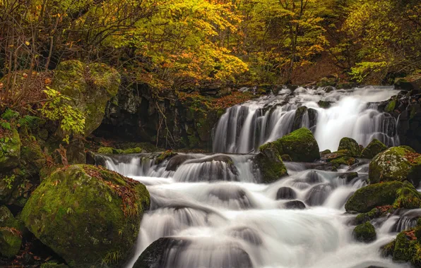 Autumn, forest, river, stones, waterfall, moss, Japan, panorama
