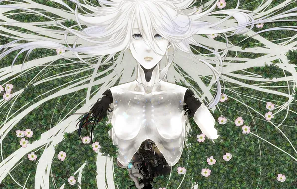 Girl, flowers, wire, robot, art, Android, white hair, maximum Hitachi