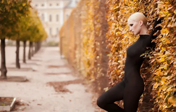 Autumn, girl, blonde, alley, in black, bokeh, body