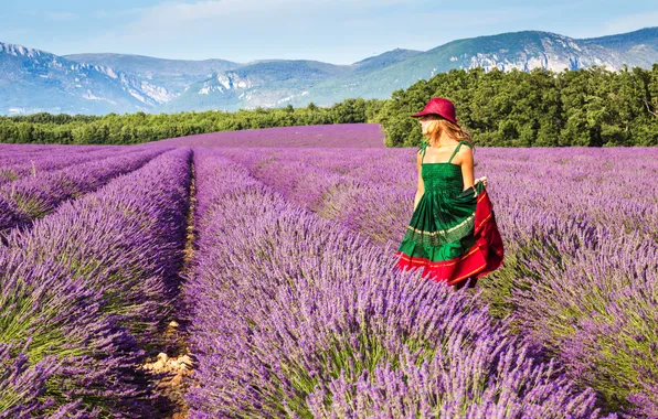 Girl, mountains, hat, walk, lavender, sundress, plantation, green dress