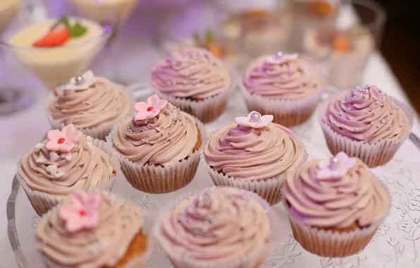 Food, decoration, dessert, cakes, sweet, cupcakes