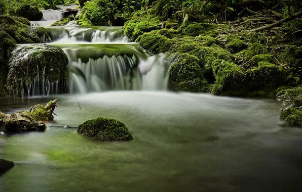 Picture forest, stones, moss, river