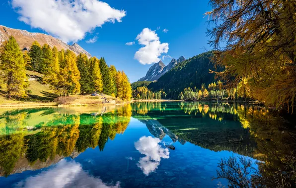 Autumn, forest, the sky, water, the sun, clouds, trees, mountains
