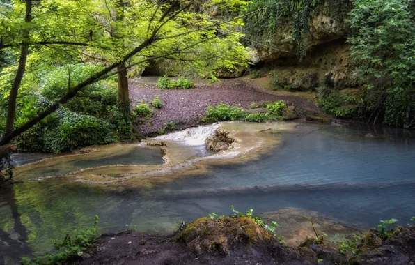 Picture forest, water, river, nature nature, Bulgaria, mountain river