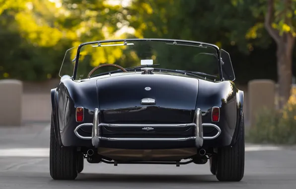 Black, Shelby, rear view, retro cars, 1963, Shelby Cobra, the only instance, Cobra 289