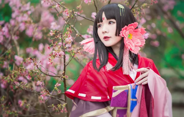 Flower, look, girl, flowers, branches, red, face, cherry