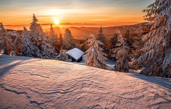 Winter, frost, roof, forest, the sky, the sun, clouds, snow