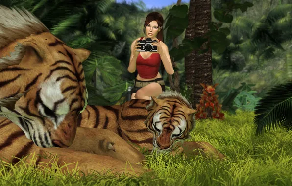 Picture grass, predators, the camera, tigers, nikon, Lara Croft, Tomb raider