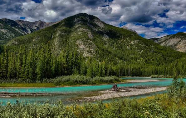 Forest, clouds, trees, mountains, nature, river, Canada, Albert