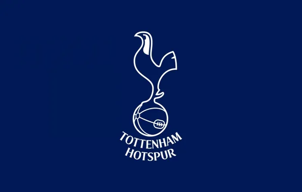 Sports, Soccer, Tottenham Hotspur F C, Son Heung Min, HD wallpaper | Peakpx