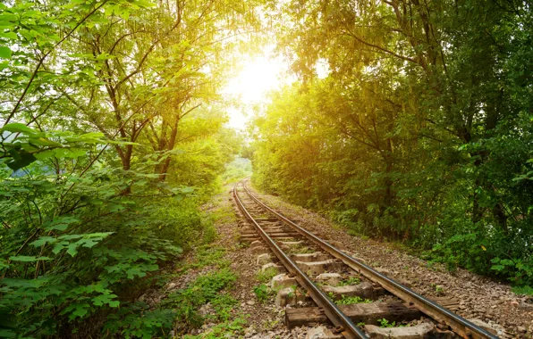 Picture greens, forest, the sun, trees, rails, railroad, gravel, sleepers